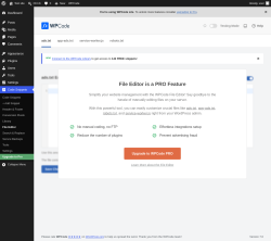 Page screenshot: Code Snippets &rarr; File Editor