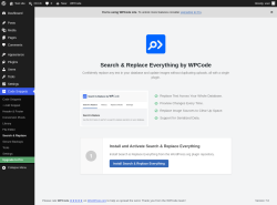 Page screenshot: Code Snippets &rarr; Search & Replace
