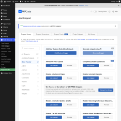 Page screenshot: Code Snippets &rarr; + Add Snippet