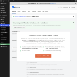 Page screenshot: Code Snippets &rarr; Conversion Pixels
