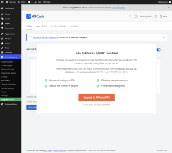 Page screenshot: Code Snippets &rarr; File Editor