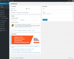 Page screenshot: Dashboard &lsaquo; Test site &mdash; WordPress