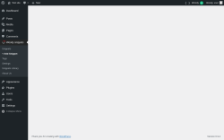 Page screenshot: Woody snippets &rarr; + Add Snippet