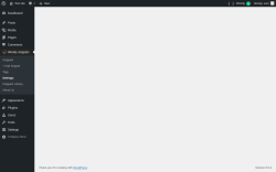 Page screenshot: Woody snippets &rarr; Settings