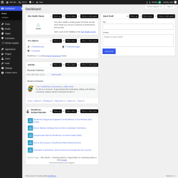Page screenshot: Dashboard &lsaquo; Test site &mdash; WordPress
