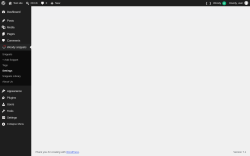 Page screenshot: Woody snippets &rarr; Settings