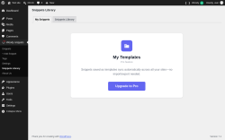 Page screenshot: Woody snippets &rarr; Snippets Library