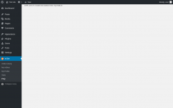 Page screenshot: inSite &rarr; FAQ
