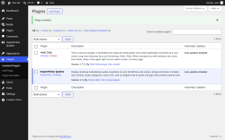Page screenshot: Plugins &lsaquo; Test site &mdash; WordPress