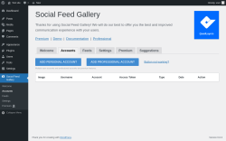 Page screenshot: Social Feed Gallery → Accounts