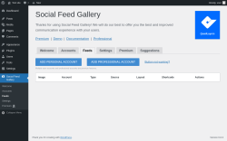 Page screenshot: Social Feed Gallery → Feeds