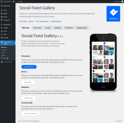 Page screenshot: Social Feed Gallery &rarr; Feeds &rarr; Welcome