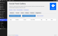 Page screenshot: Social Feed Gallery &rarr; Accounts