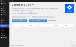 Page screenshot: Social Feed Gallery &rarr; Feeds