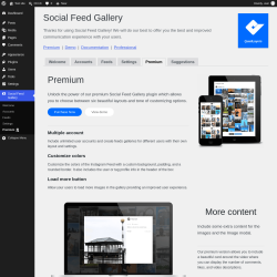 Page screenshot: Social Feed Gallery &rarr; Premium 