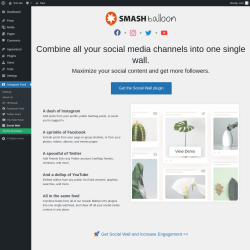 Page screenshot: Instagram Feed &rarr; Social Wall