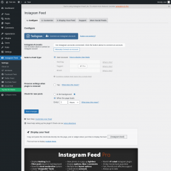 Page screenshot: Instagram Feed &rarr; Facebook Feed &rarr; 1. Configure