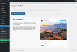 Page screenshot: Instagram Feed &rarr; oEmbeds