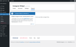 Page screenshot: Instagram Widget &rarr; Support