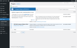 Page screenshot: Plugins &lsaquo; Test site &mdash; WordPress