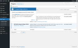 Page screenshot: Plugins &lsaquo; Test site &mdash; WordPress