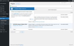 Page screenshot: Plugins &lsaquo; Test site &mdash; WordPress