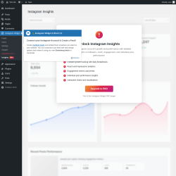 Page screenshot: Instagram Widget &rarr; Insights PRO