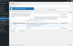 Page screenshot: Plugins &lsaquo; Test site &mdash; WordPress