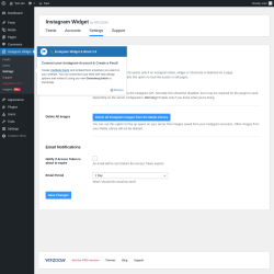 Page screenshot: Instagram Widget &rarr; Settings