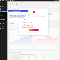 Page screenshot: Instagram Widget &rarr; Insights PRO