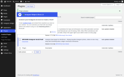 Page screenshot: Plugins &lsaquo; Test site &mdash; WordPress