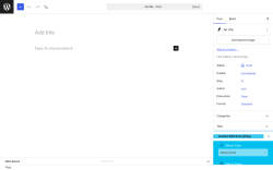 Page screenshot: Add Post &lsaquo; Test site &mdash; WordPress