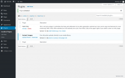 Page screenshot: Plugins &lsaquo; Test site &mdash; WordPress