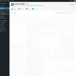 Page screenshot: Media &rarr; Instant Images