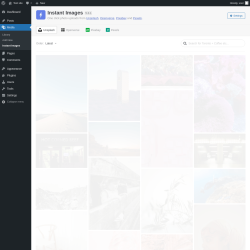 Page screenshot: Media &rarr; Instant Images