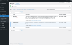Page screenshot: Plugins &lsaquo; Test site &mdash; WordPress