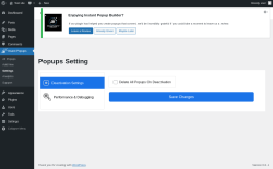 Page screenshot: Insant Popups &rarr; Settings