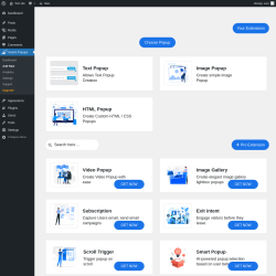 Page screenshot: Instant Popups &rarr; Add New