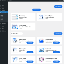 Page screenshot: Insant Popups &rarr; Add New