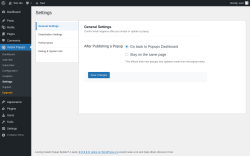 Page screenshot: Instant Popups &rarr; Settings