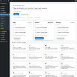 Page screenshot: Instant Popups &rarr; Upgrade