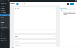 Page screenshot: Widgets &lsaquo; Test site &mdash; WordPress
