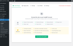 Page screenshot: Tools → InstaWP