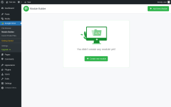 Page screenshot: Google Drive → Module Builder