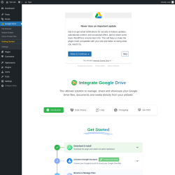 Page screenshot: Getting Started - Integrate Google Drive ‹ Test site — WordPress