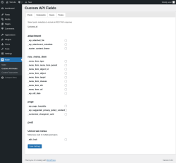 Page screenshot: Make &rarr; Custom API Fields