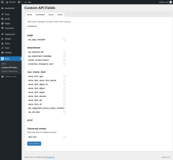 Page screenshot: Make &rarr; Custom API Fields