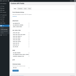 Page screenshot: Make &rarr; Custom API Fields