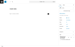 Page screenshot: Add Post ‹ Test site — WordPress