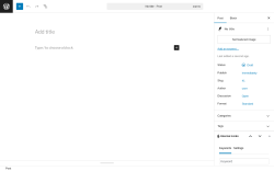 Page screenshot: Add Post ‹ Test site — WordPress